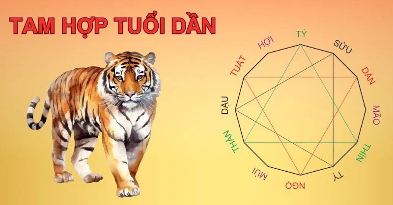 Tam hợp tuổi Dần và ý nghĩa trong cuộc sống