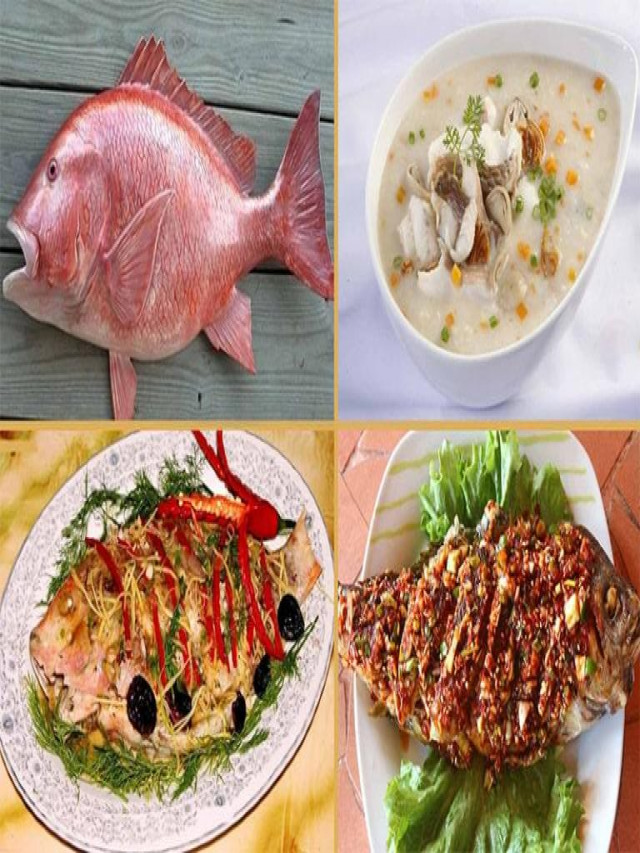 Món ngon từ cá hồng biển: 7 công thức hấp dẫn